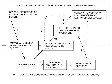 Autogenic biofeedback mechanisms